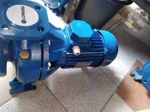 Lowara Surface Water Transfer Pump