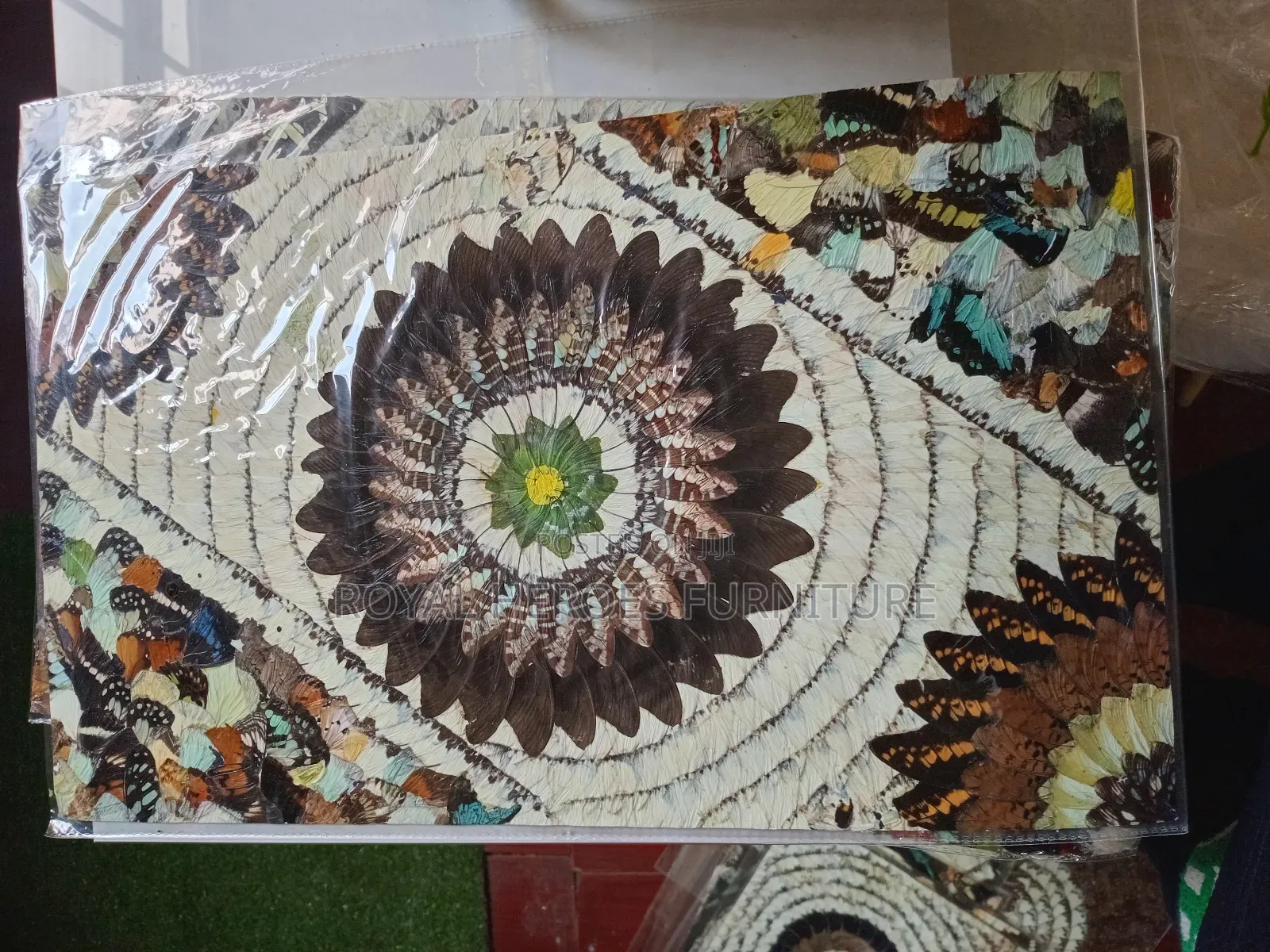 Butterfly Art