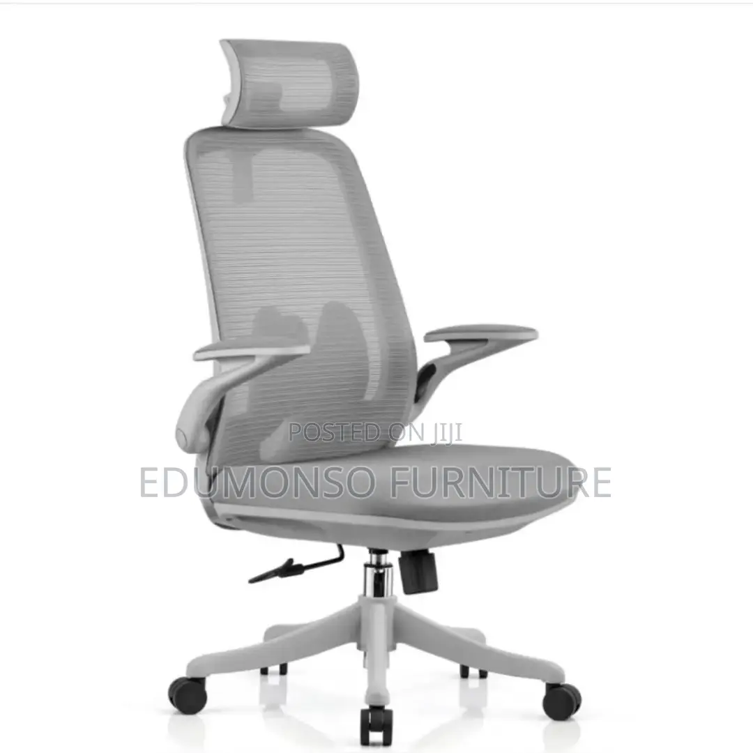 Ergonomic Mesh Executive Chair