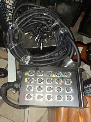 Audio Link