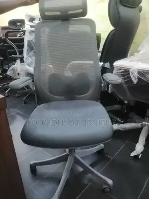 Ergonomic Mesh Executive Chair
