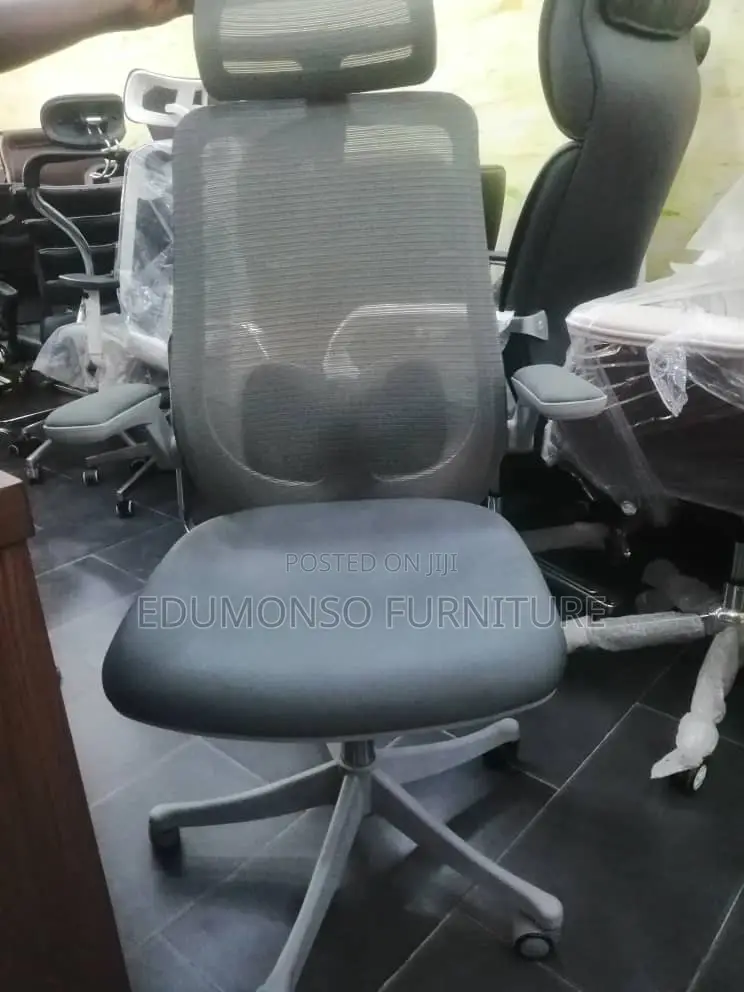 Ergonomic Mesh Executive Chair
