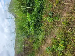 Obada Land for Sale