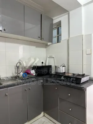 Luxury Studio Apartment, Wuse 2 , Abuja