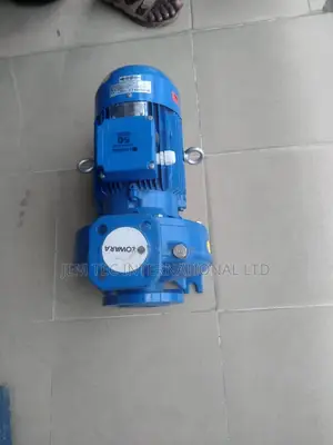 Lowara Surface Water Pump
