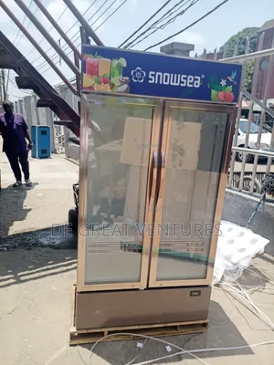 Brand New Snowsea Side-by-Side Showcase Refrigerator✓Extenal
