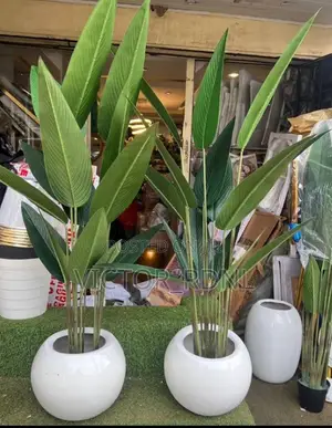 Flower Pot