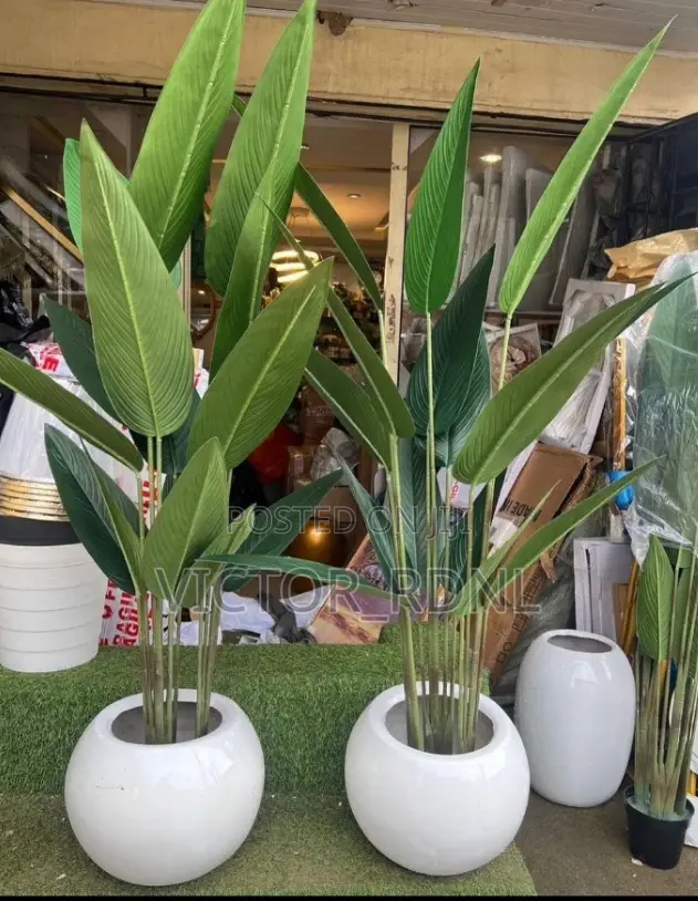 Flower Pot