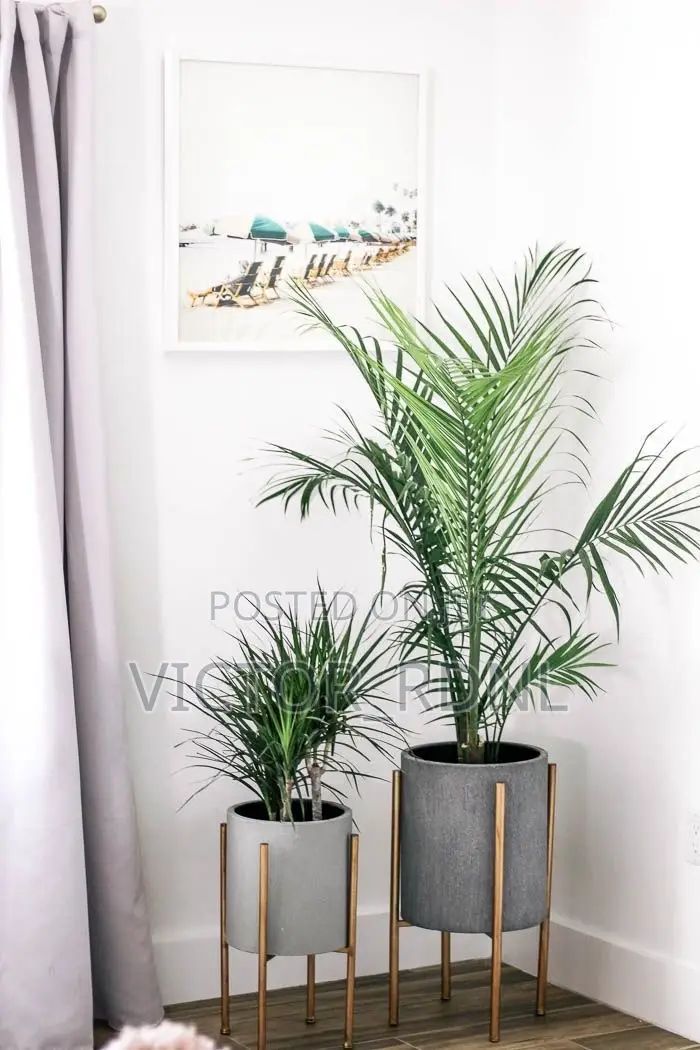 Flower Pot