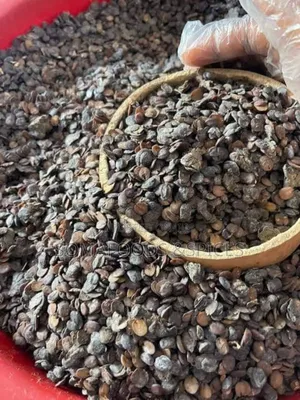 Photo - Dehydrated Iru (Locust Beans)