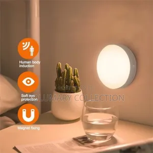 Wireless Body Induction Lamp Motion Sensor Light
