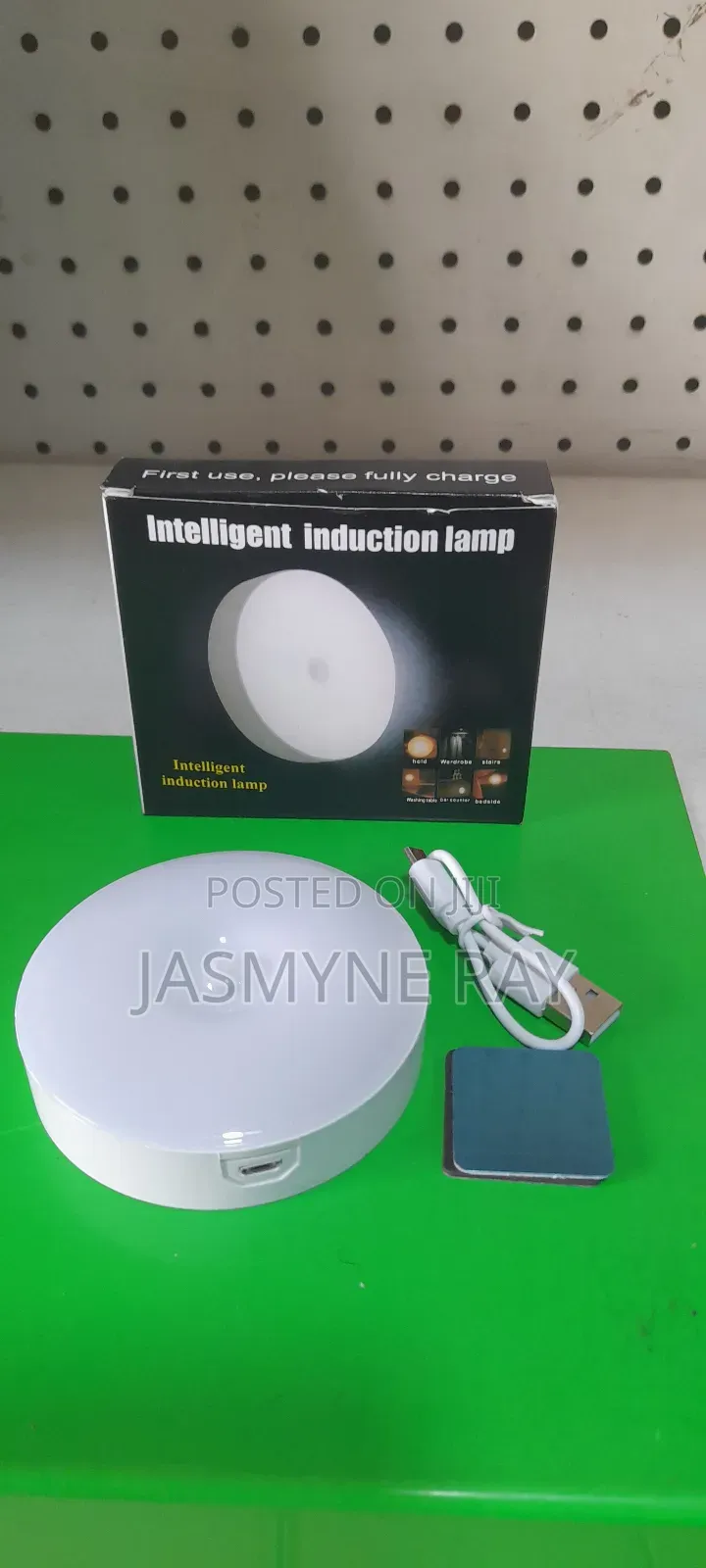 Intelligent Induction Lamp