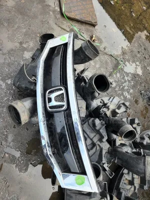 Fancy Front Grill 2009 Honda Accord