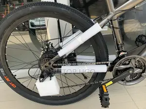 Phoenix Electric Bike