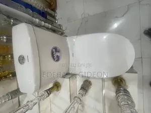 Flushing Toilets for Your Bathrooms