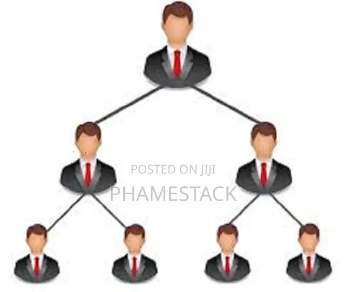 Multi Level Marketing (Mlm) App Developer in Nigeria
