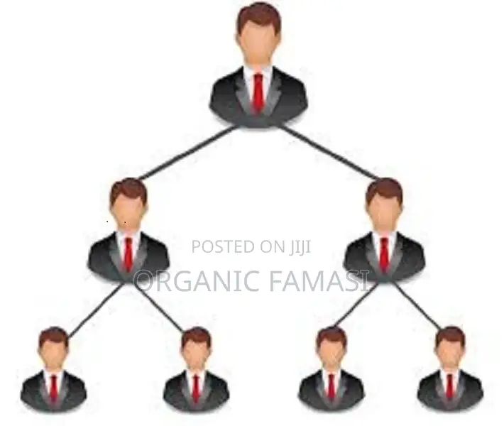 Multi Level Marketing (Mlm) App Developer in Nigeria