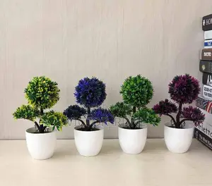 Beautiful Cup Flowers 