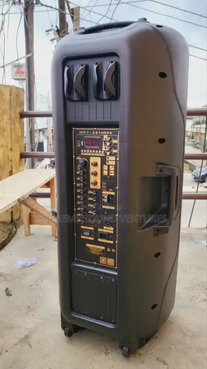 15 Inches Double Public Address System
