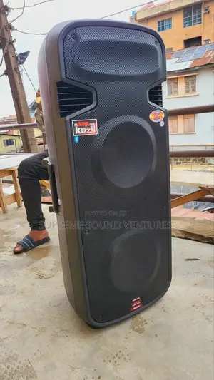 15 Inches Double Public Address System