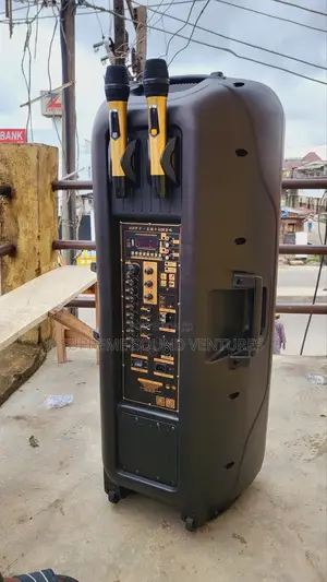 15 Inches Double Public Address System