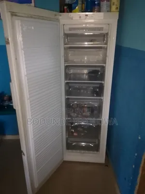 Gigantic 6ft Tall Bauknecht German Refrigerator