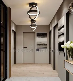 Exquisite Ceiling Fitting