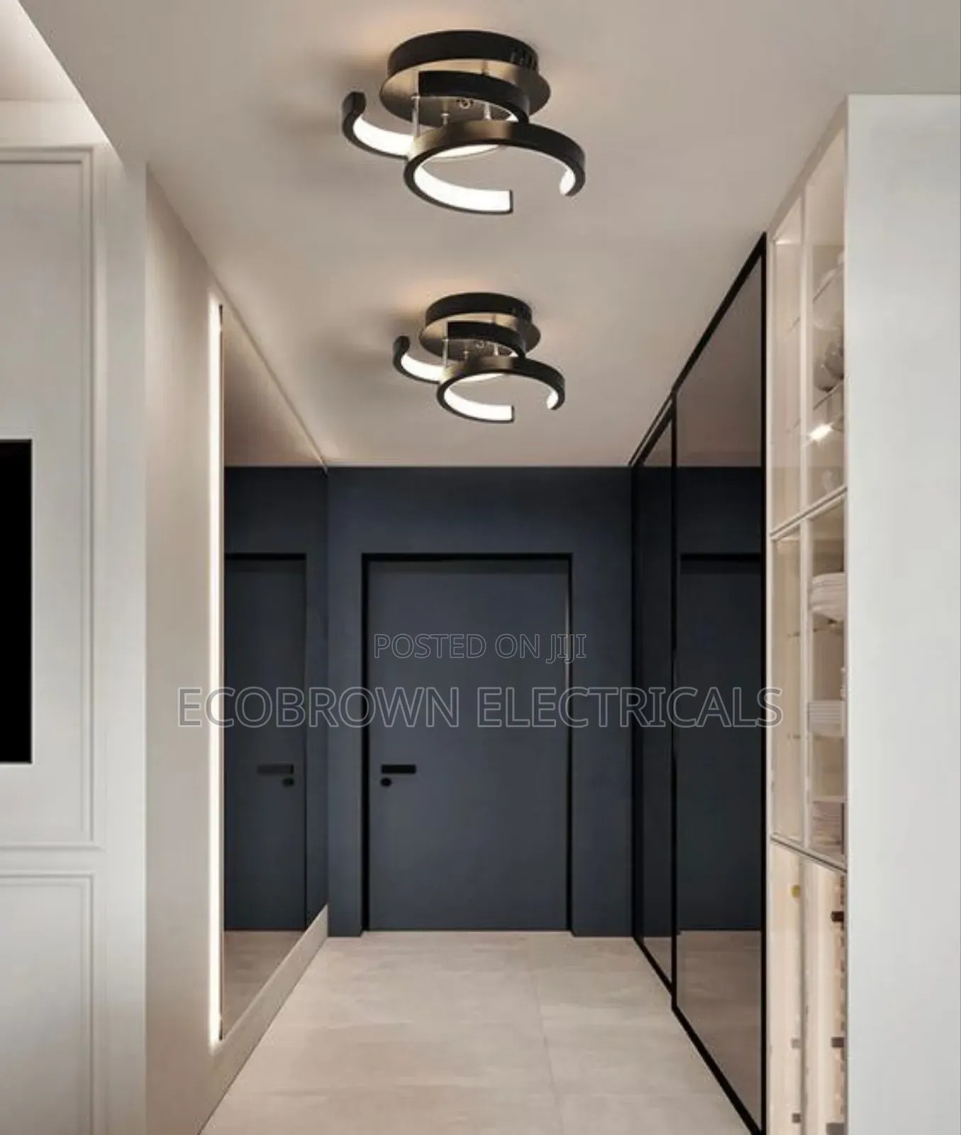 Exquisite Ceiling Fitting