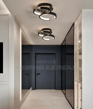 Exquisite Ceiling Fitting
