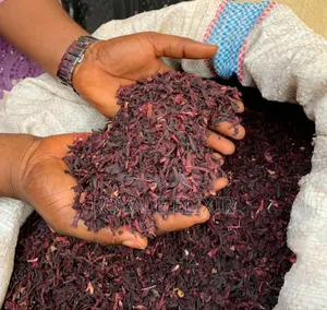 Whole Hibiscus Flower