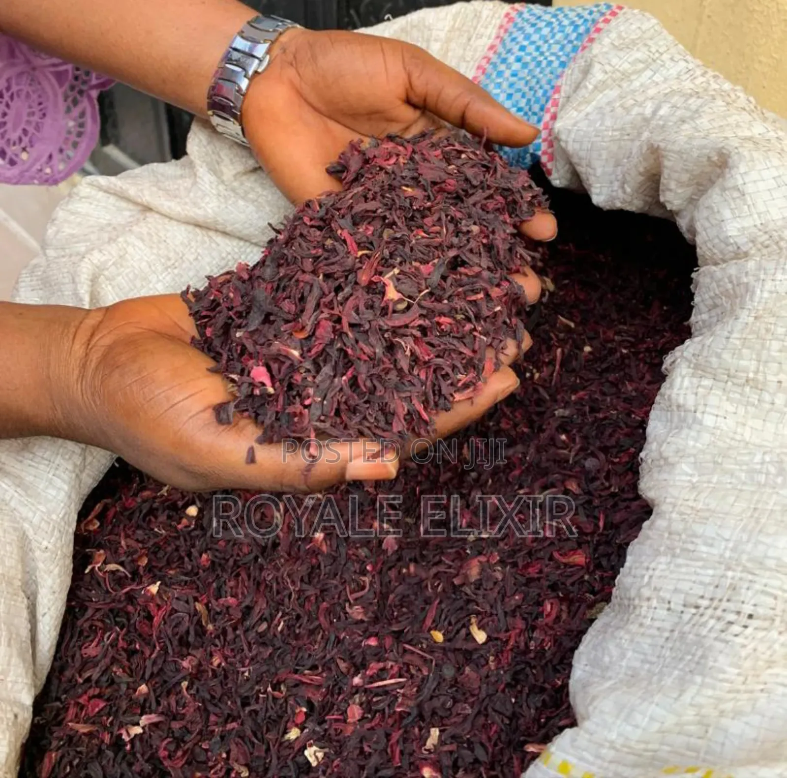 Whole Hibiscus Flower