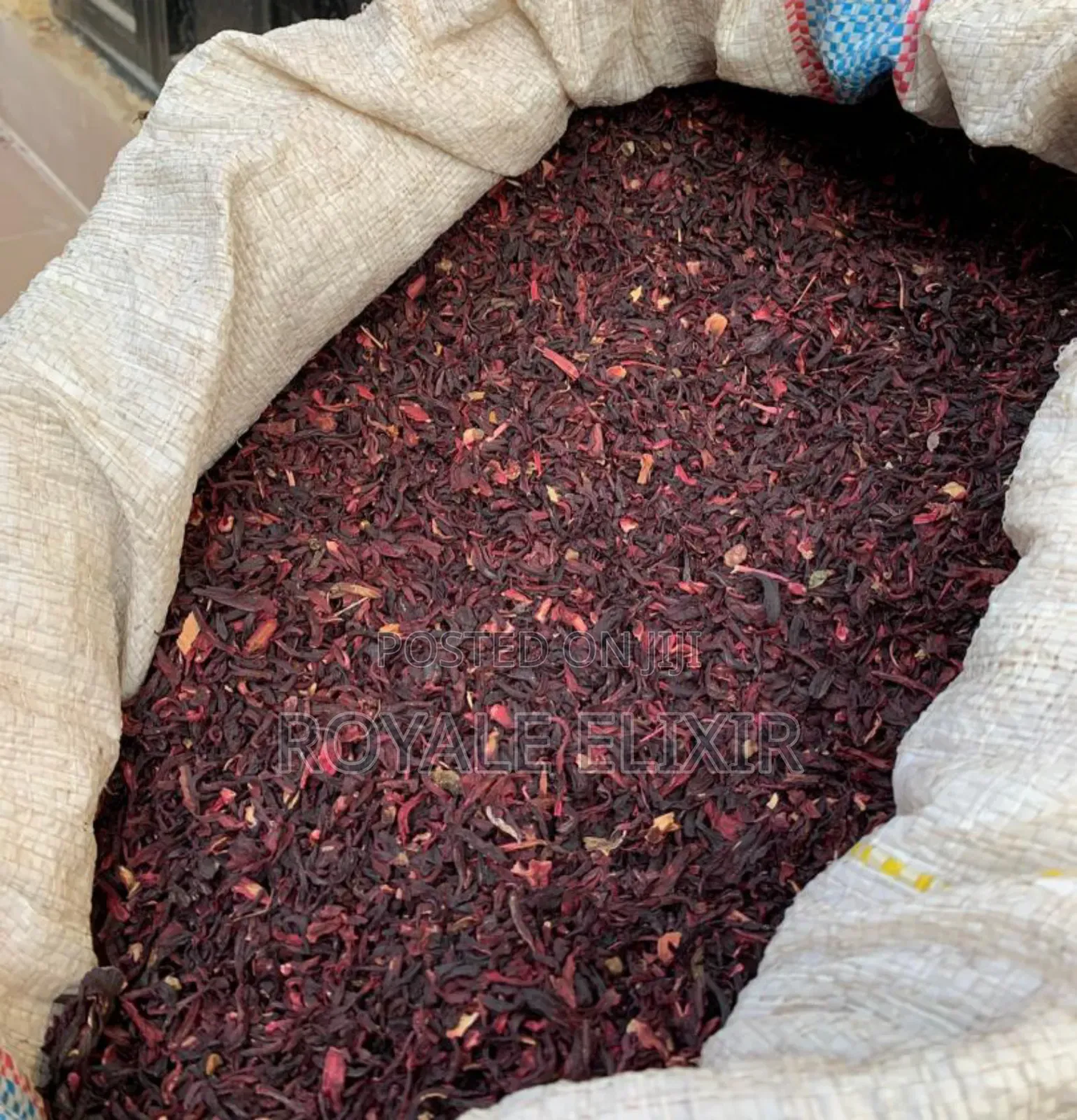Whole Hibiscus Flower