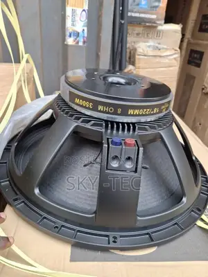 Original Sound Piece 18inches 3500watts Big Magnet 8ohms Naked Speaker