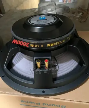 Original Sound Piece 3000W Biggest Magnet Speaker