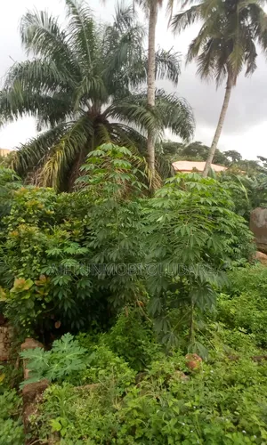 Land for Sale at Imojo Ekiti, OYE. LGA