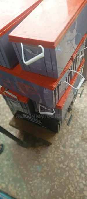 Buyer Dead Inverter Battery FL