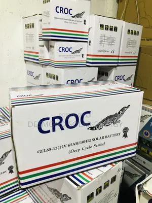 65ah 12v Croc Dry Sell Solar Battery