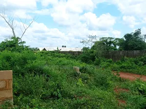Acres and Plot of Land for Urgent Sale at Otta, Agbowa