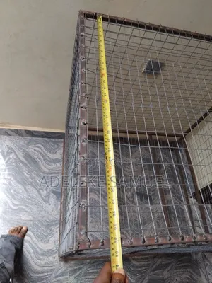 Big Iron Cage