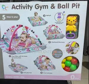 5 in 1 Activists Gym Ball and Ball Pit