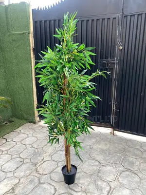Faux/Artificial Ficus Tree for Homes/Offices Decor