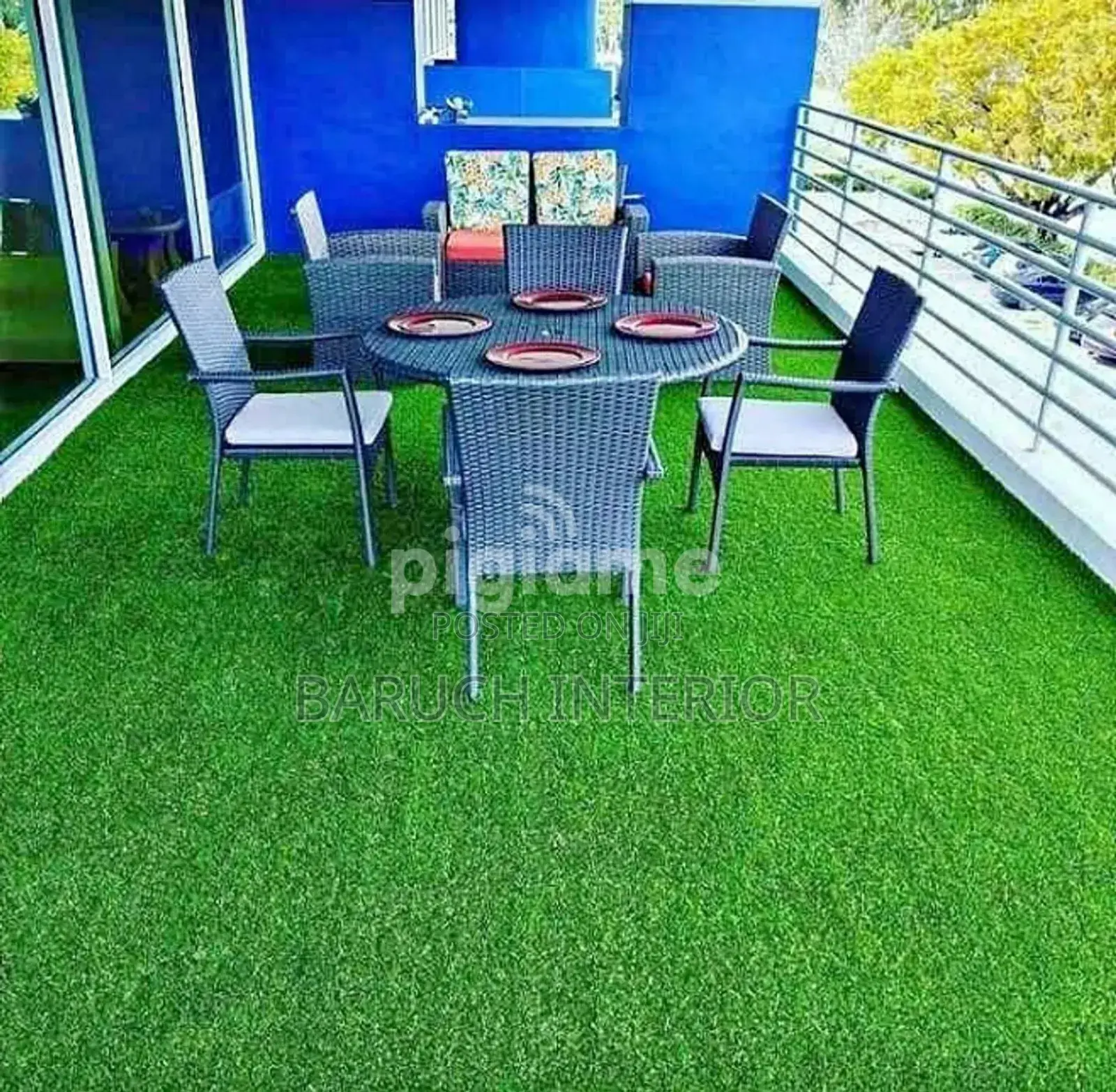 Lawn Luxury: Carpet Grass Designs