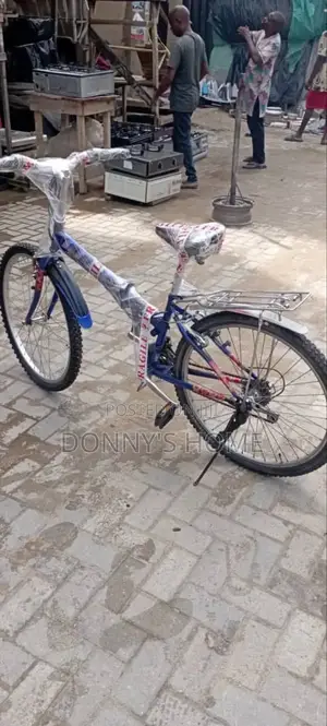 Adult Bicycles