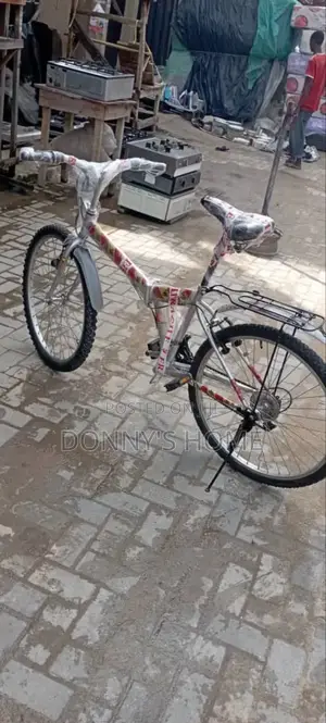 Adult Bicycles