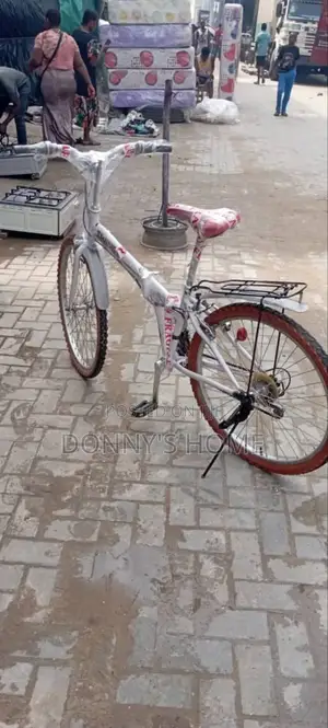 Adult Bicycles