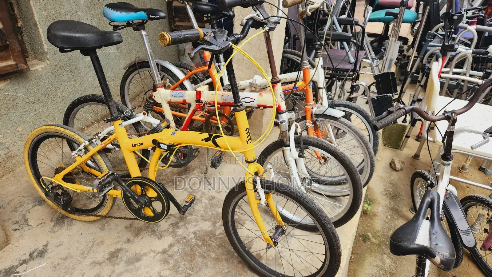 Adult Bicycles