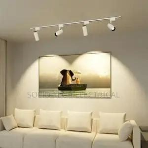 Moveable Slim Tracklights for Sitting Room or Office