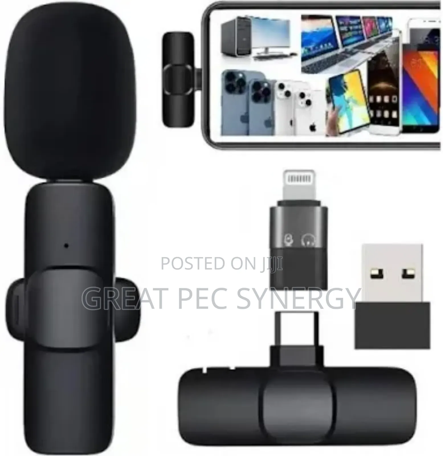  Wireless Microphone