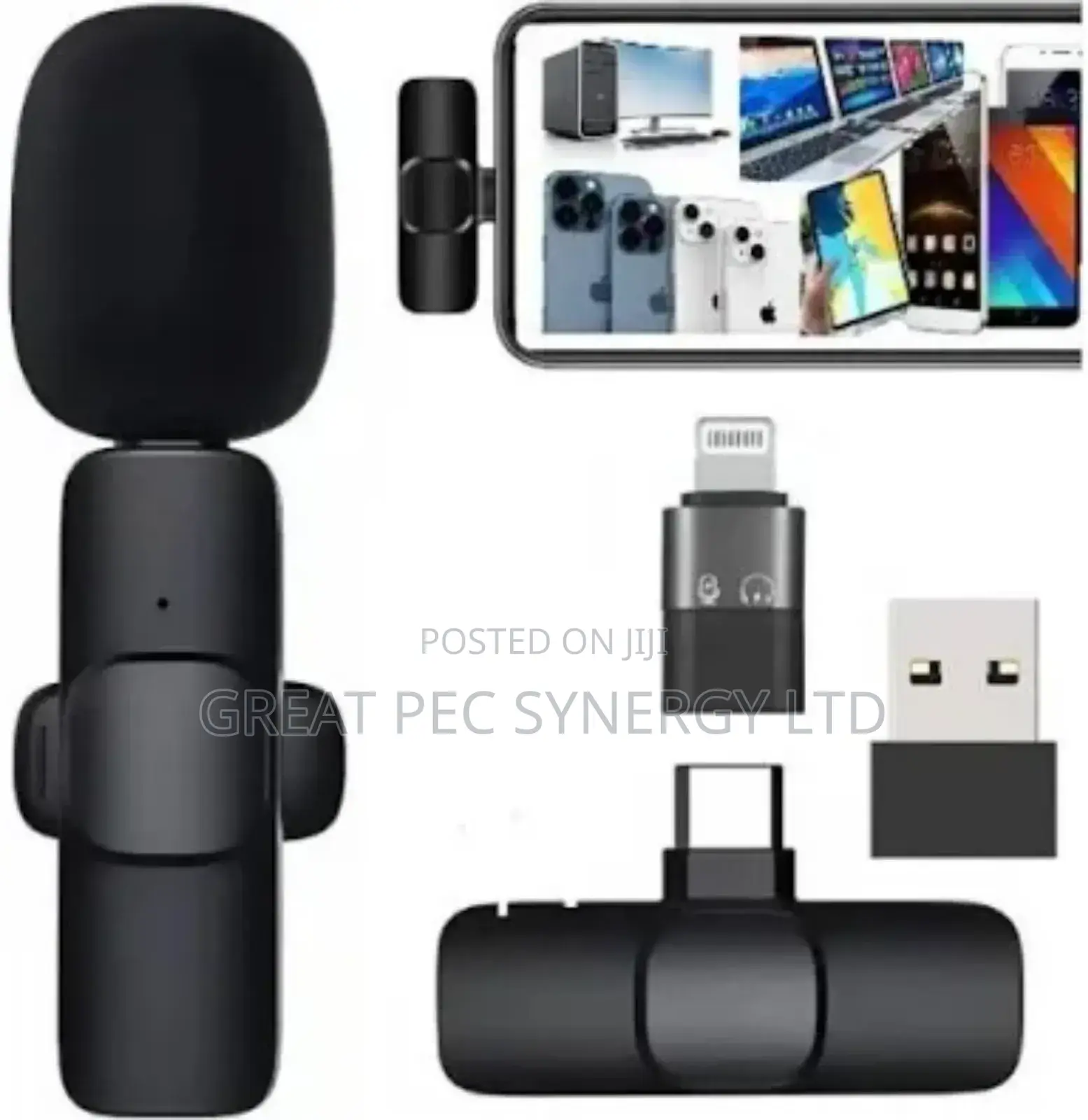  Wireless Microphone