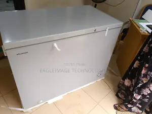Heavy-Duty Hisense 390sh Chest Freezer